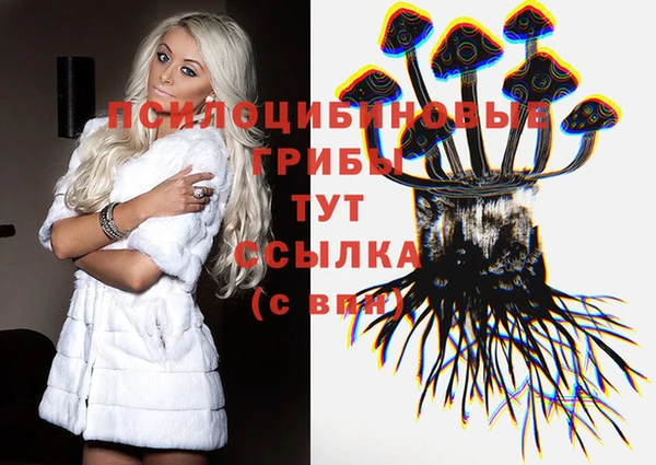 гидропоника Липки
