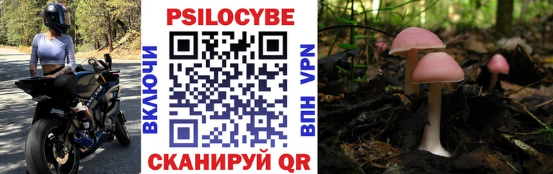 hydra зеркало  Тихорецк  Псилоцибиновые грибы Psilocybine cubensis 