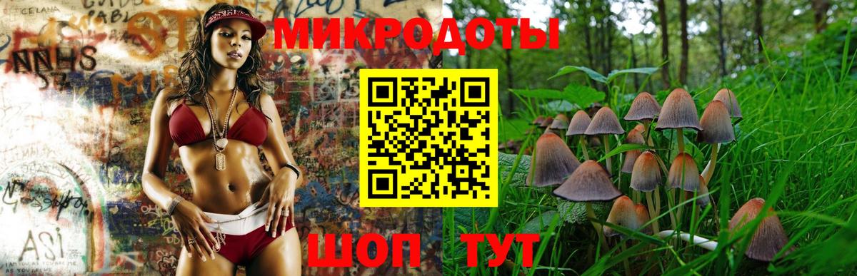 Псилоцибиновые грибы Psilocybe Тихорецк