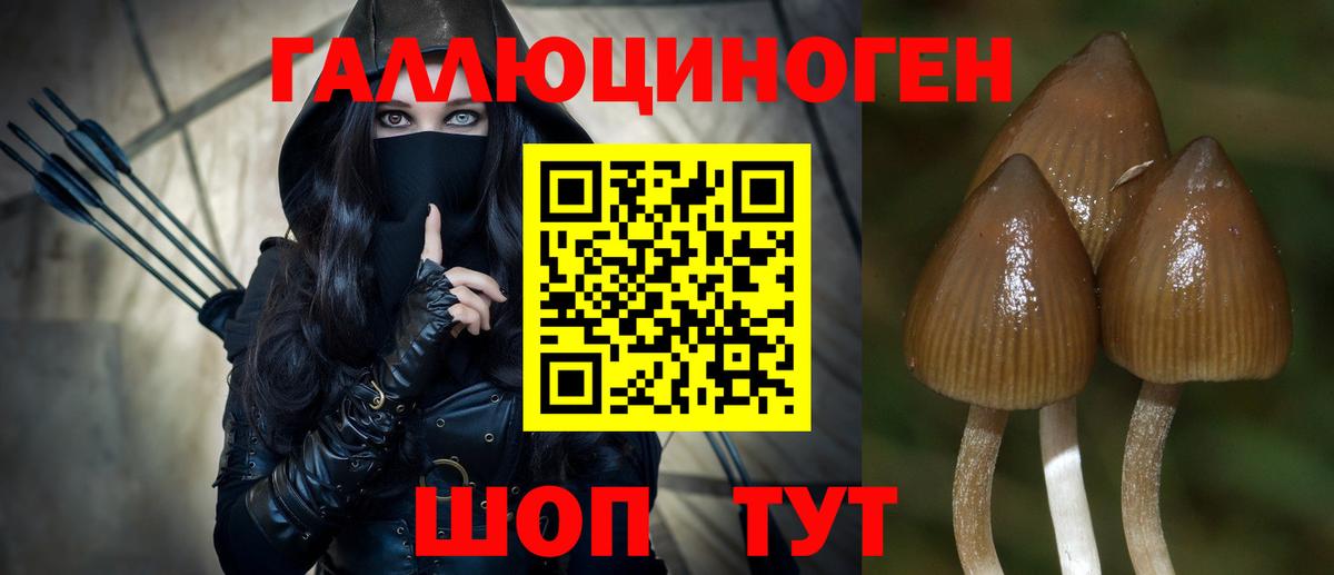 Галлюциногенные грибы GOLDEN TEACHER  Вход с VPN  Псилоцибиновые грибы мухоморы  Тихорецк 